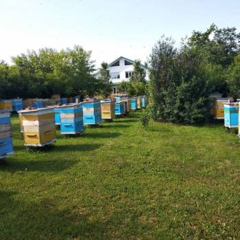 Продается Дом, 180 м²