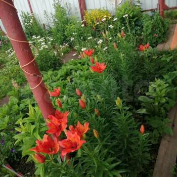 Продается Дом, 18 м²