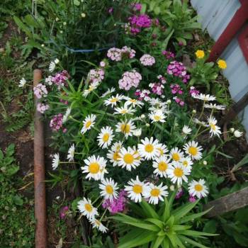 Продается Дом, 18 м²