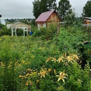 Продается Дом, 18 м²