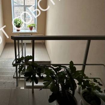 Продается 1-комнатная квартира, 31,5 м²