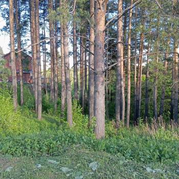 Продается Участок, 950 м²