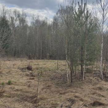 Продается Дом, 15 м²