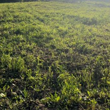 Продается Участок, 1640 м²