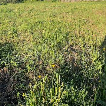 Продается Участок, 1640 м²