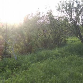 Продается Участок, 260 м²