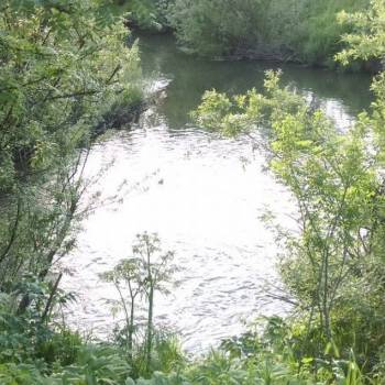 Продается Участок, 260 м²