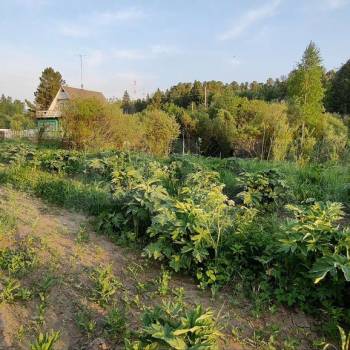 Продается Участок, 260 м²