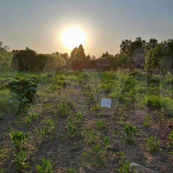 Продается Участок, 260 м²