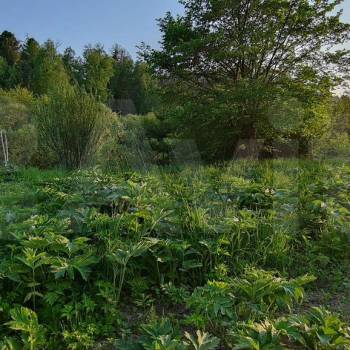 Продается Участок, 260 м²