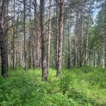 Продается Участок, 600 м²