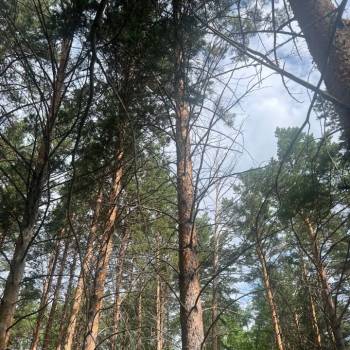 Продается Участок, 600 м²