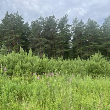 Продается Участок, 600 м²