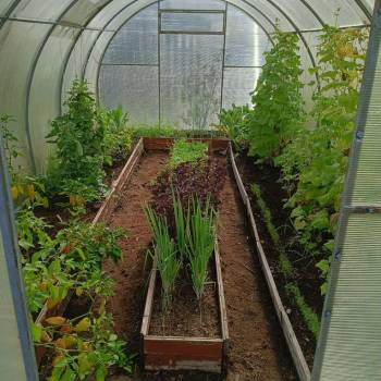 Продается Дом, 30 м²