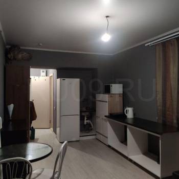 Сдается 1-комнатная квартира, 27 м²