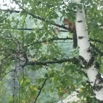 Продается Дом, 201 м²