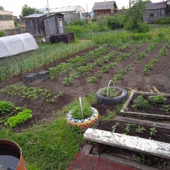 Продается Дом, 10 м²