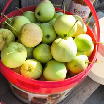 Продается Дом, 10 м²