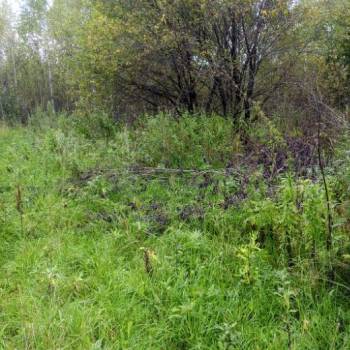 Продается Участок, 800 м²