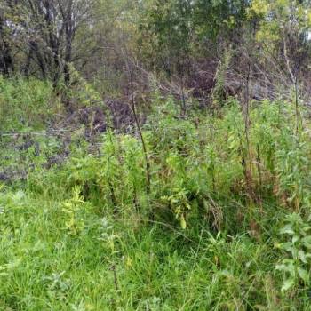 Продается Участок, 800 м²