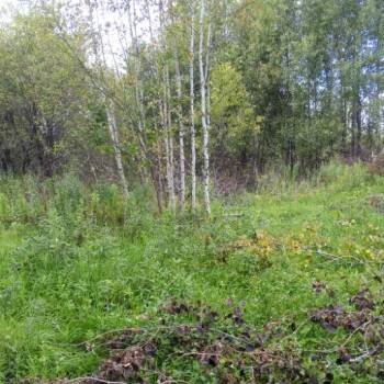 Продается Участок, 800 м²