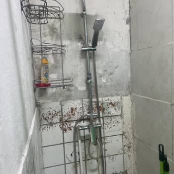 Сдается 1-комнатная квартира, 12 м²