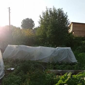 Продается Участок, 320 м²