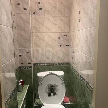 Сдается 2-х комнатная квартира, 54 м²