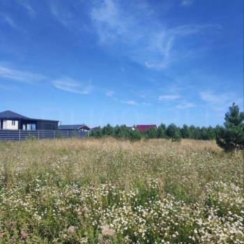 Продается Участок, 25000 м²