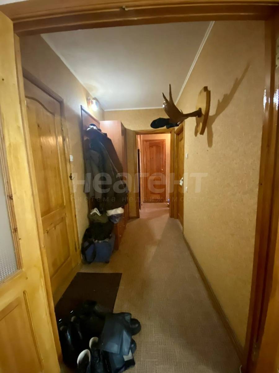 Фотография №9