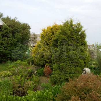 Продается Участок, 1000 м²