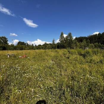 Продается Участок, 3000 м²