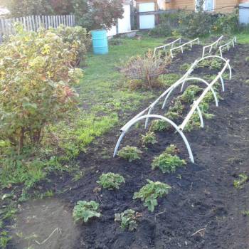 Продается Участок, 540 м²