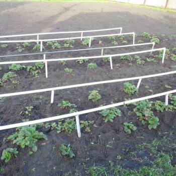 Продается Участок, 540 м²