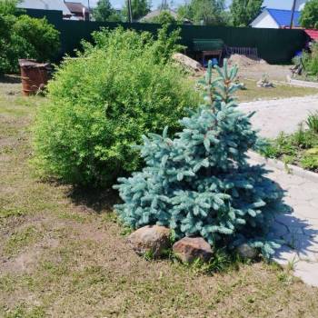 Продается Дом, 19 м²