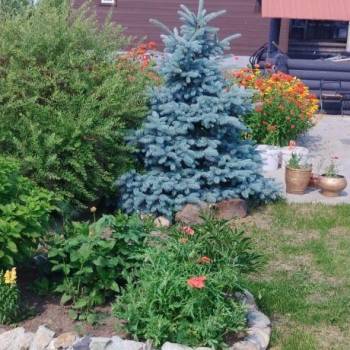 Продается Дом, 19 м²