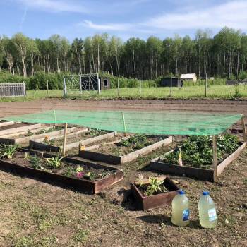 Продается Дом, 36 м²