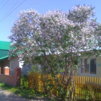 Продается 2-х комнатная квартира, 46 м²