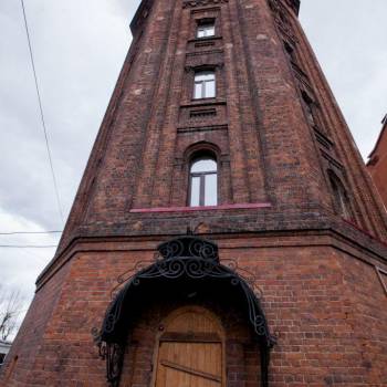 Сдается Нежилое помещение, 29 м²