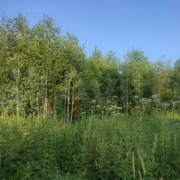 Продается Участок, 1230 м²