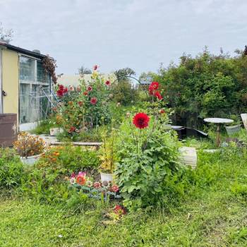 Продается Участок, 600 м²