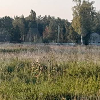 Продается Участок, 1000 м²