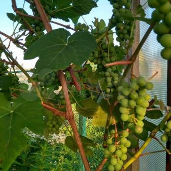 Продается Дом, 46 м²