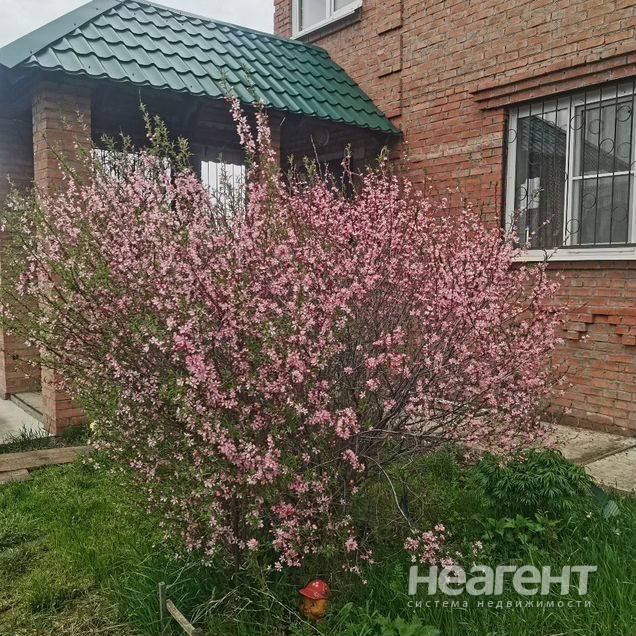 Фотография №4