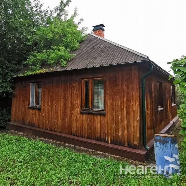 Фотография №2