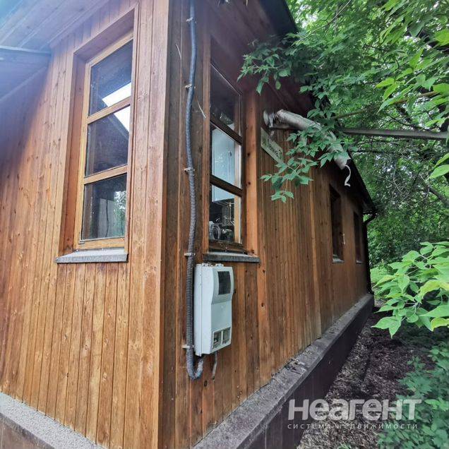 Фотография №3