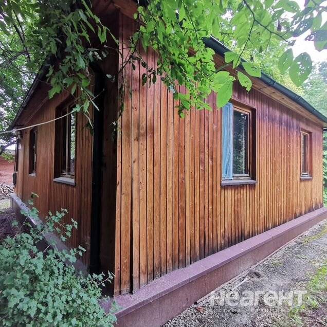 Фотография №4