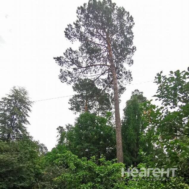 Фотография №5