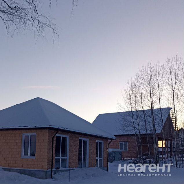 Фотография №2