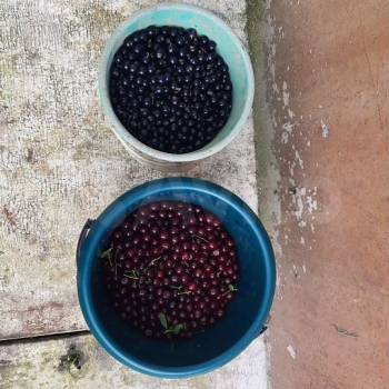 Продается Участок, 700 м²